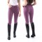 B126L Sawley Ladies Breech - Multiple Colours Available 